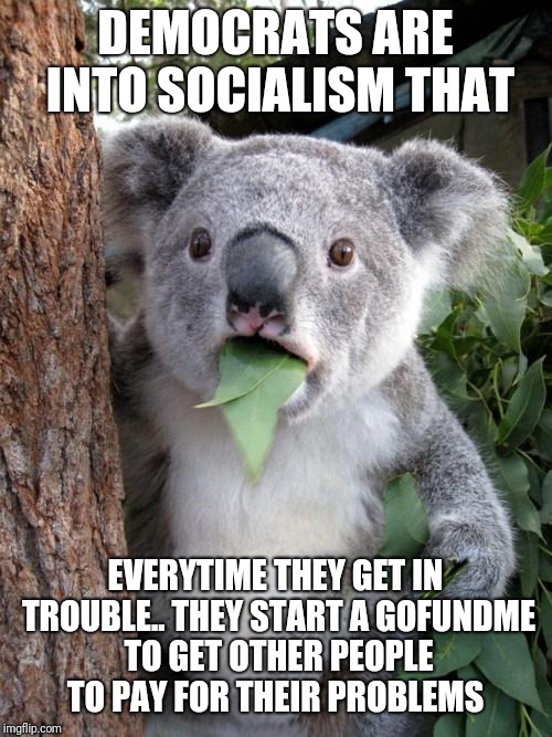 Surprised Koala | DEMOCRATS ARE INTO SOCIALISM THAT; EVERYTIME THEY GET IN TROUBLE.. THEY START A GOFUNDME TO GET OTHER PEOPLE TO PAY FOR THEIR PROBLEMS | image tagged in memes,surprised koala | made w/ Imgflip meme maker