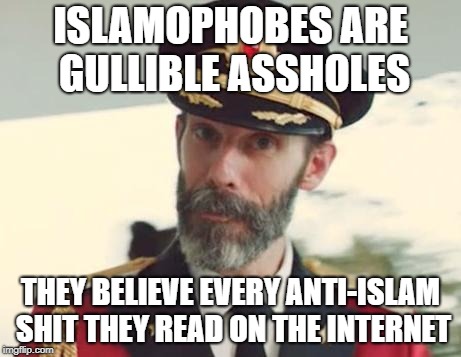 Islamophobes Are SO Gullible | ISLAMOPHOBES ARE GULLIBLE ASSHOLES; THEY BELIEVE EVERY ANTI-ISLAM SHIT THEY READ ON THE INTERNET | image tagged in captain obvious,gullible,islamophobia,shit | made w/ Imgflip meme maker