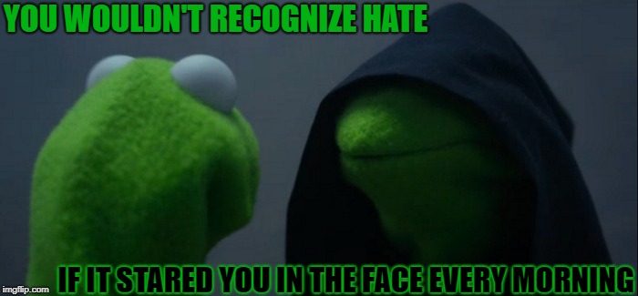 YOU WOULDN'T RECOGNIZE HATE IF IT STARED YOU IN THE FACE EVERY MORNING | image tagged in memes,evil kermit | made w/ Imgflip meme maker