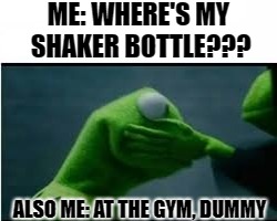 ME: WHERE'S MY SHAKER BOTTLE??? ALSO ME: AT THE GYM, DUMMY | image tagged in darkkermitslap | made w/ Imgflip meme maker