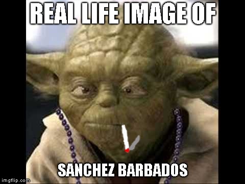 REAL LIFE IMAGE OF; SANCHEZ BARBADOS | image tagged in sanchez | made w/ Imgflip meme maker