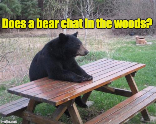 Bad Luck Bear | Does a bear chat in the woods? | image tagged in memes,bad luck bear | made w/ Imgflip meme maker