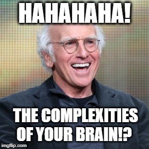 HAHAHAHA! THE COMPLEXITIES OF YOUR BRAIN!? | image tagged in larry david | made w/ Imgflip meme maker