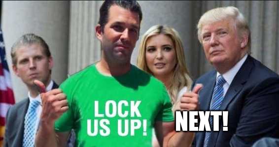 In Honor of Cohen and Manofort, Let's get this party Started | NEXT! | image tagged in trump,meme,political meme,donald trump,truth,stupid criminals | made w/ Imgflip meme maker