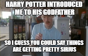 Sirius Coral! | HARRY POTTER INTRODUCED ME TO HIS GODFATHER; SO I GUESS YOU COULD SAY THINGS ARE GETTING PRETTY SIRIUS | image tagged in memes,so i guess you can say things are getting pretty serious,sirius black | made w/ Imgflip meme maker