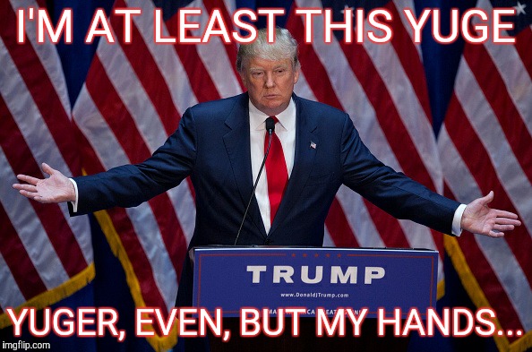 Donald Trump | I'M AT LEAST THIS YUGE YUGER, EVEN, BUT MY HANDS... | image tagged in donald trump | made w/ Imgflip meme maker