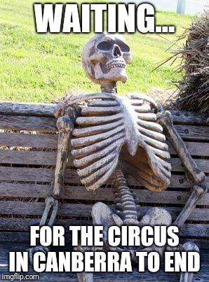 Waiting Skeleton | WAITING... FOR THE CIRCUS IN CANBERRA TO END | image tagged in memes,waiting skeleton | made w/ Imgflip meme maker