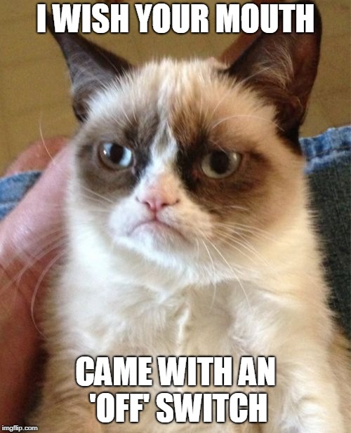 Grumpy Cat Insult - a meme on a slightly different topic, but inspired by WayneUrso's meme - https://imgflip.com/i/2fsano | I WISH YOUR MOUTH; CAME WITH AN 'OFF' SWITCH | image tagged in memes,grumpy cat,mouth,talkative,grumpy cat insults,memespiration | made w/ Imgflip meme maker