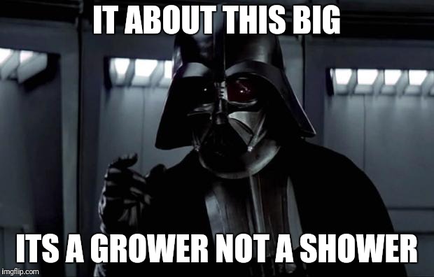 Darth Vader | IT ABOUT THIS BIG ITS A GROWER NOT A SHOWER | image tagged in darth vader | made w/ Imgflip meme maker