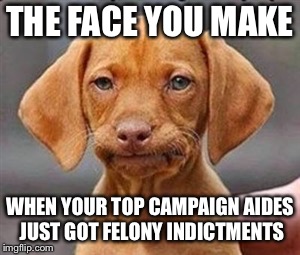 Frustrated dog | THE FACE YOU MAKE; WHEN YOUR TOP CAMPAIGN AIDES JUST GOT FELONY INDICTMENTS | image tagged in frustrated dog | made w/ Imgflip meme maker