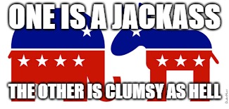 ONE IS A JACKASS; THE OTHER IS CLUMSY AS HELL | image tagged in politics,political meme,democrats,republicans | made w/ Imgflip meme maker