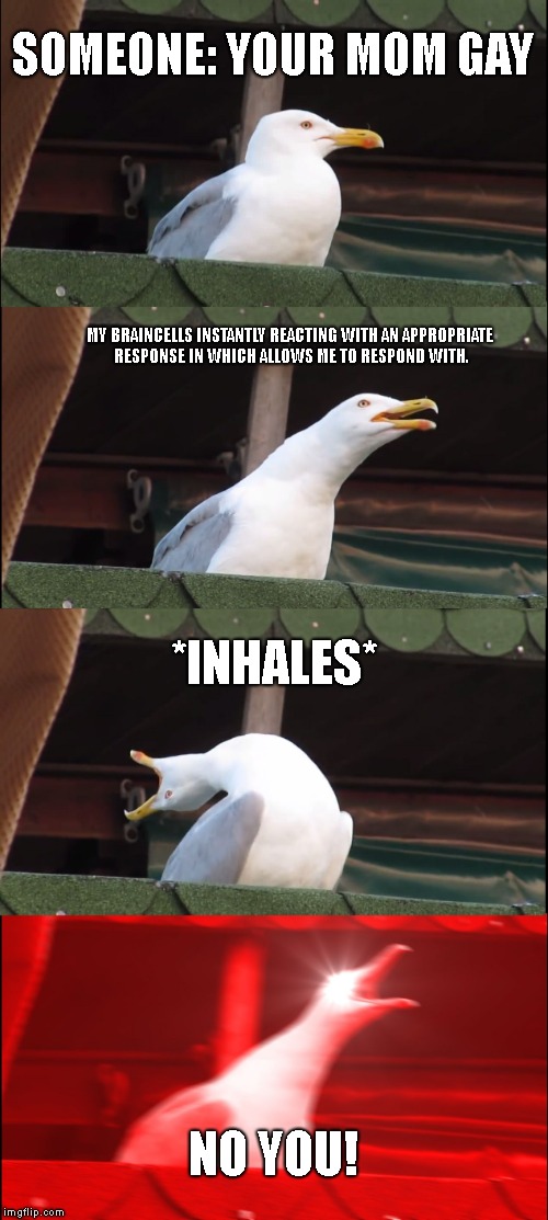 Inhaling Seagull | SOMEONE: YOUR MOM GAY; MY BRAINCELLS INSTANTLY REACTING WITH AN APPROPRIATE RESPONSE IN WHICH ALLOWS ME TO RESPOND WITH. *INHALES*; NO YOU! | image tagged in memes,inhaling seagull | made w/ Imgflip meme maker