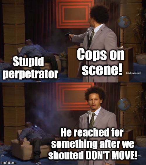 What is so fricken DIFFICULT about keeping still when armed officers scream at you to keep still?? | Stupid  perpetrator; Cops on scene! He reached for something after we shouted DON'T MOVE! | image tagged in memes,who killed hannibal | made w/ Imgflip meme maker