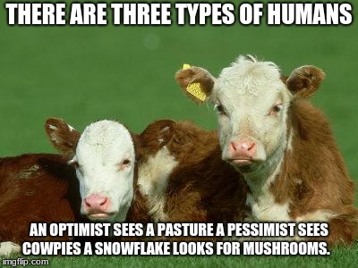 Baby Cows | THERE ARE THREE TYPES OF HUMANS; AN OPTIMIST SEES A PASTURE
A PESSIMIST SEES COWPIES
A SNOWFLAKE LOOKS FOR MUSHROOMS. | image tagged in baby cows | made w/ Imgflip meme maker
