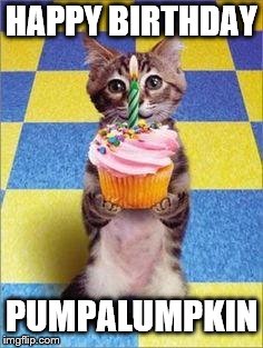 Happy Birthday Cat | HAPPY BIRTHDAY; PUMPALUMPKIN | image tagged in happy birthday cat | made w/ Imgflip meme maker