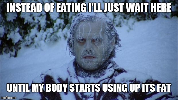 Cold Dieter | INSTEAD OF EATING I'LL JUST WAIT HERE; UNTIL MY BODY STARTS USING UP ITS FAT | image tagged in cold,dieting | made w/ Imgflip meme maker