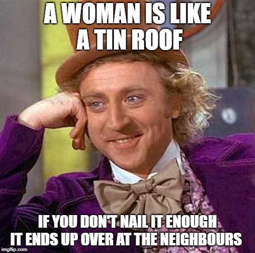 words of wisdom | A WOMAN IS LIKE A TIN ROOF; IF YOU DON'T NAIL IT ENOUGH IT ENDS UP OVER AT THE NEIGHBOURS | image tagged in memes,creepy condescending wonka | made w/ Imgflip meme maker