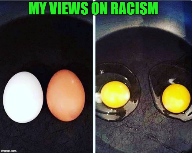 we are all the same inside | MY VIEWS ON RACISM | image tagged in brotherhood,eggcellent,peace | made w/ Imgflip meme maker
