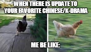 running chicken | WHEN THERE IS UPDATE TO YOUR FAVORITE CHINESE/K-DRAMA; ME BE LIKE: | image tagged in running chicken | made w/ Imgflip meme maker