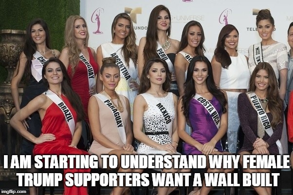 Starting to understand? | I AM STARTING TO UNDERSTAND WHY FEMALE TRUMP SUPPORTERS WANT A WALL BUILT | image tagged in wall,trump,female supporters,hot latina | made w/ Imgflip meme maker