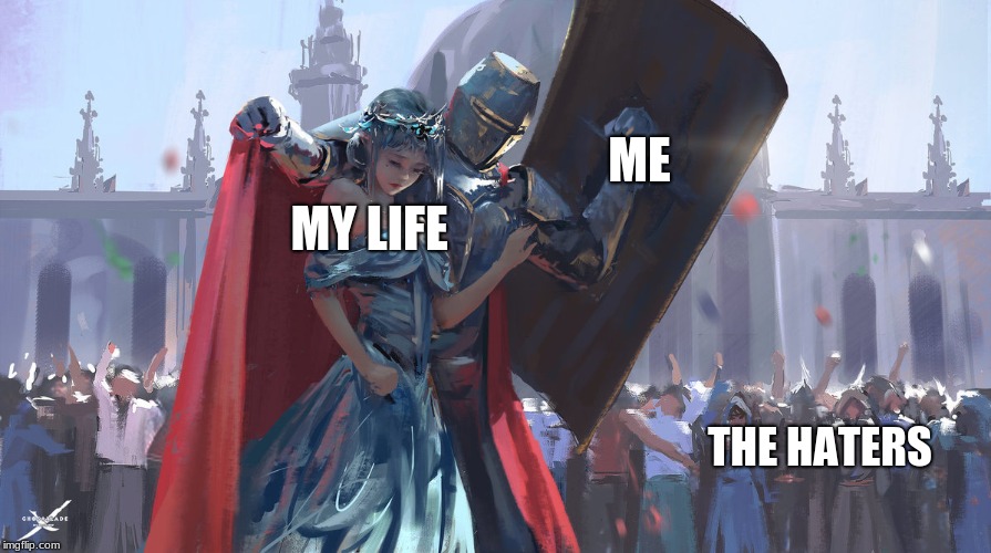 Knight Protecting Princess | ME; MY LIFE; THE HATERS | image tagged in knight protecting princess | made w/ Imgflip meme maker