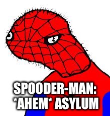 Spooderman | SPOODER-MAN: *AHEM* ASYLUM | image tagged in spooderman | made w/ Imgflip meme maker