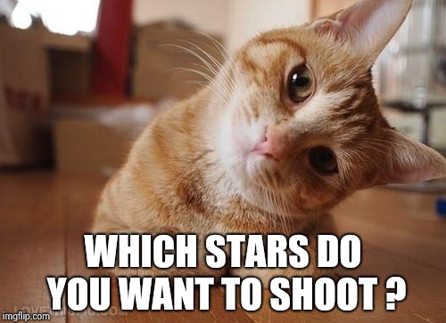 Curious Question Cat | WHICH STARS DO YOU WANT TO SHOOT ? | image tagged in curious question cat | made w/ Imgflip meme maker