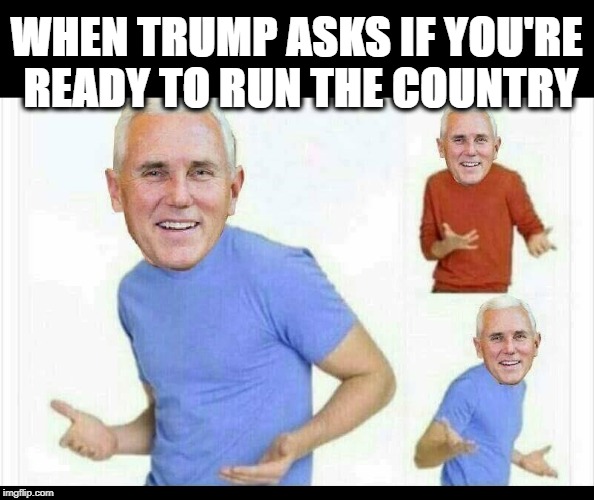 WHEN TRUMP ASKS IF YOU'RE READY TO RUN THE COUNTRY | image tagged in mike pence,donald trump approves,impeachment,maga,america first | made w/ Imgflip meme maker