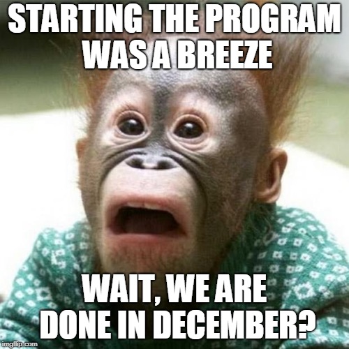 Shocked Monkey | STARTING THE PROGRAM WAS A BREEZE; WAIT, WE ARE DONE IN DECEMBER? | image tagged in shocked monkey | made w/ Imgflip meme maker