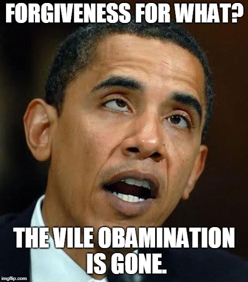 partisanship | FORGIVENESS FOR WHAT? THE VILE OBAMINATION IS GONE. | image tagged in partisanship | made w/ Imgflip meme maker