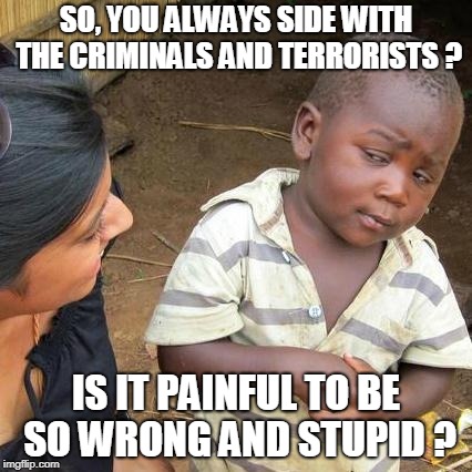 Third World Skeptical Kid | SO, YOU ALWAYS SIDE WITH THE CRIMINALS AND TERRORISTS ? IS IT PAINFUL TO BE SO WRONG AND STUPID ? | image tagged in memes,third world skeptical kid | made w/ Imgflip meme maker
