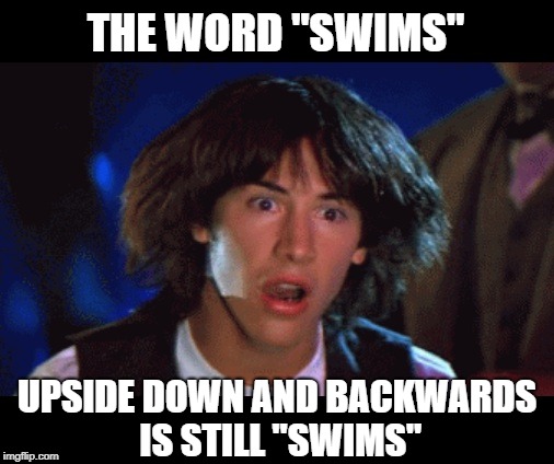 And now for some totally useless information... |  THE WORD "SWIMS"; UPSIDE DOWN AND BACKWARDS IS STILL "SWIMS" | image tagged in woah,funny memes,useless fact of the day,useless stuff,random | made w/ Imgflip meme maker