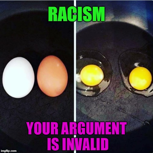 Yeah.  It's like that. | RACISM; YOUR ARGUMENT IS INVALID | image tagged in racism,prejudice,humanity,memes,imgflip | made w/ Imgflip meme maker