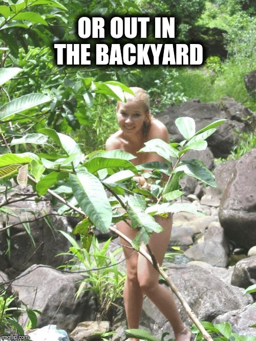 Garden of Eden | OR OUT IN THE BACKYARD | image tagged in garden of eden | made w/ Imgflip meme maker