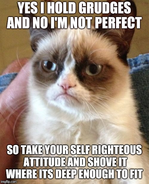 Grumpy Cat | YES I HOLD GRUDGES AND NO I'M NOT PERFECT; SO TAKE YOUR SELF RIGHTEOUS ATTITUDE AND SHOVE IT WHERE ITS DEEP ENOUGH TO FIT | image tagged in memes,grumpy cat | made w/ Imgflip meme maker