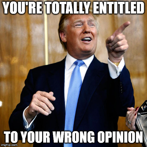 I see what you're trying to say | YOU'RE TOTALLY ENTITLED; TO YOUR WRONG OPINION | image tagged in trump | made w/ Imgflip meme maker