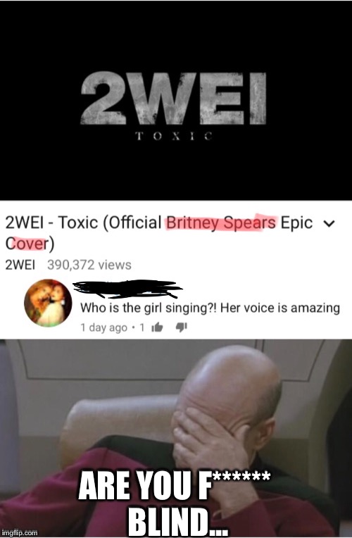 Real Youtube video, real comment, REAL PEOPLE HAS COMMENTED THIS!!! | ARE YOU F****** BLIND... | image tagged in captain picard facepalm,funny,memes,facepalm,youtube,youtube comments | made w/ Imgflip meme maker