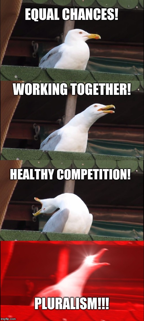Inhaling Seagull Meme | EQUAL CHANCES! WORKING TOGETHER! HEALTHY COMPETITION! PLURALISM!!! | image tagged in memes,inhaling seagull | made w/ Imgflip meme maker