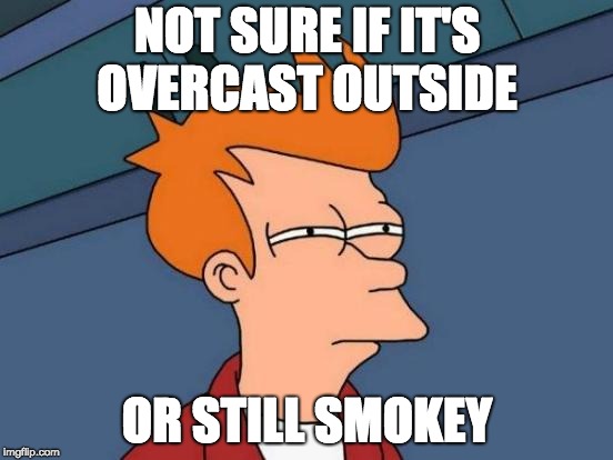 Futurama Fry Meme | NOT SURE IF IT'S OVERCAST OUTSIDE; OR STILL SMOKEY | image tagged in memes,futurama fry | made w/ Imgflip meme maker