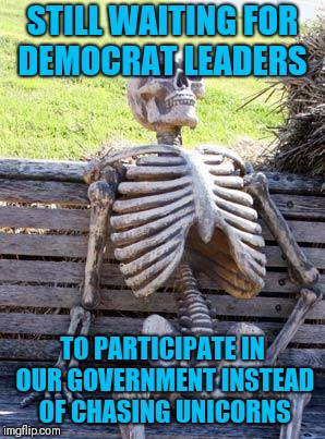 Waiting Skeleton Meme | STILL WAITING FOR DEMOCRAT LEADERS; TO PARTICIPATE IN OUR GOVERNMENT INSTEAD OF CHASING UNICORNS | image tagged in memes,waiting skeleton | made w/ Imgflip meme maker
