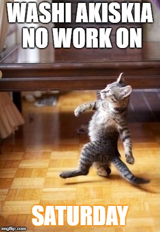 Cool Cat Stroll | WASHI AKISKIA NO WORK ON; SATURDAY | image tagged in memes,cool cat stroll | made w/ Imgflip meme maker