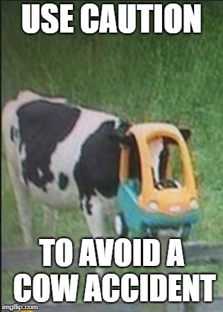 USE CAUTION; TO AVOID A COW ACCIDENT | image tagged in safety first | made w/ Imgflip meme maker
