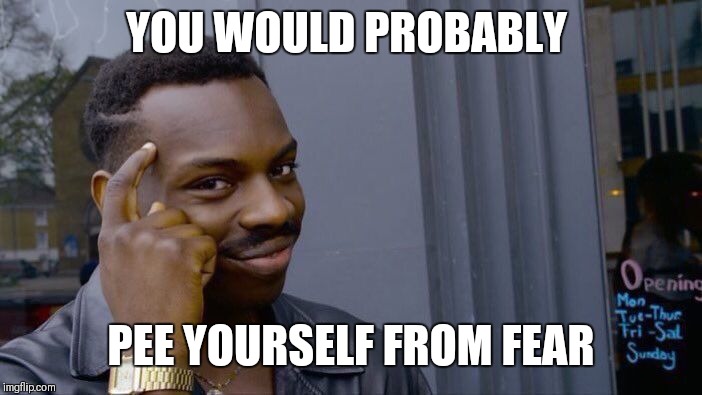 Roll Safe Think About It Meme | YOU WOULD PROBABLY PEE YOURSELF FROM FEAR | image tagged in memes,roll safe think about it | made w/ Imgflip meme maker