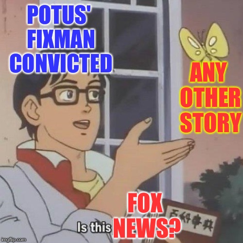 Is this a butterfly | POTUS' FIXMAN CONVICTED FOX NEWS? ANY OTHER STORY | image tagged in is this a butterfly | made w/ Imgflip meme maker