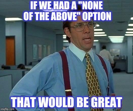 That Would Be Great Meme | IF WE HAD A "NONE OF THE ABOVE" OPTION THAT WOULD BE GREAT | image tagged in memes,that would be great | made w/ Imgflip meme maker
