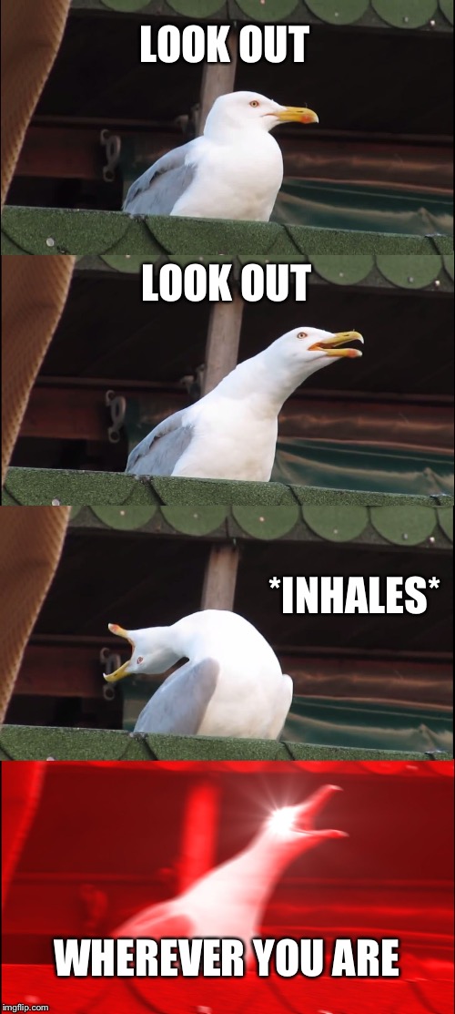 Inhaling Seagull | LOOK OUT; LOOK OUT; *INHALES*; WHEREVER YOU ARE | image tagged in memes,inhaling seagull | made w/ Imgflip meme maker