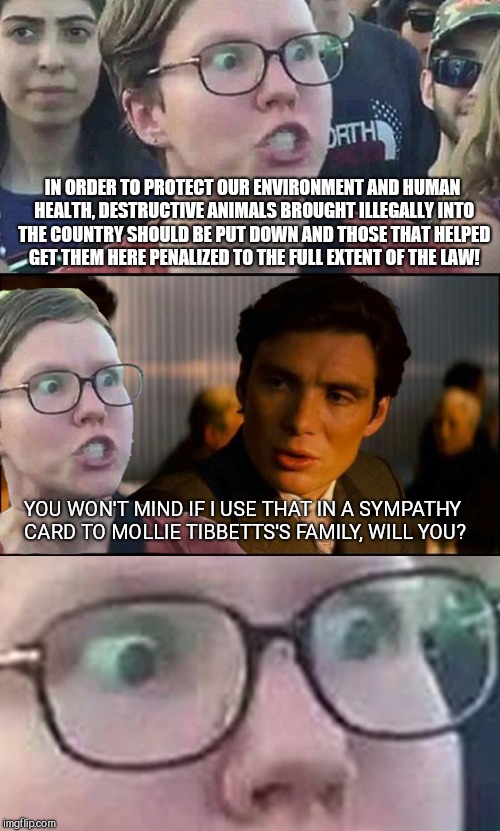 Inception Liberal |  IN ORDER TO PROTECT OUR ENVIRONMENT AND HUMAN HEALTH, DESTRUCTIVE ANIMALS BROUGHT ILLEGALLY INTO THE COUNTRY SHOULD BE PUT DOWN AND THOSE THAT HELPED GET THEM HERE PENALIZED TO THE FULL EXTENT OF THE LAW! YOU WON'T MIND IF I USE THAT IN A SYMPATHY CARD TO MOLLIE TIBBETTS'S FAMILY, WILL YOU? | image tagged in inception liberal,liberal hypocrisy,mollie tibbetts murder | made w/ Imgflip meme maker