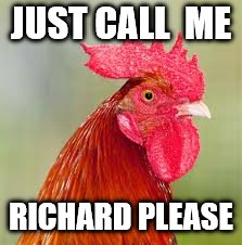 rooster | JUST CALL  ME; RICHARD PLEASE | image tagged in rooster | made w/ Imgflip meme maker