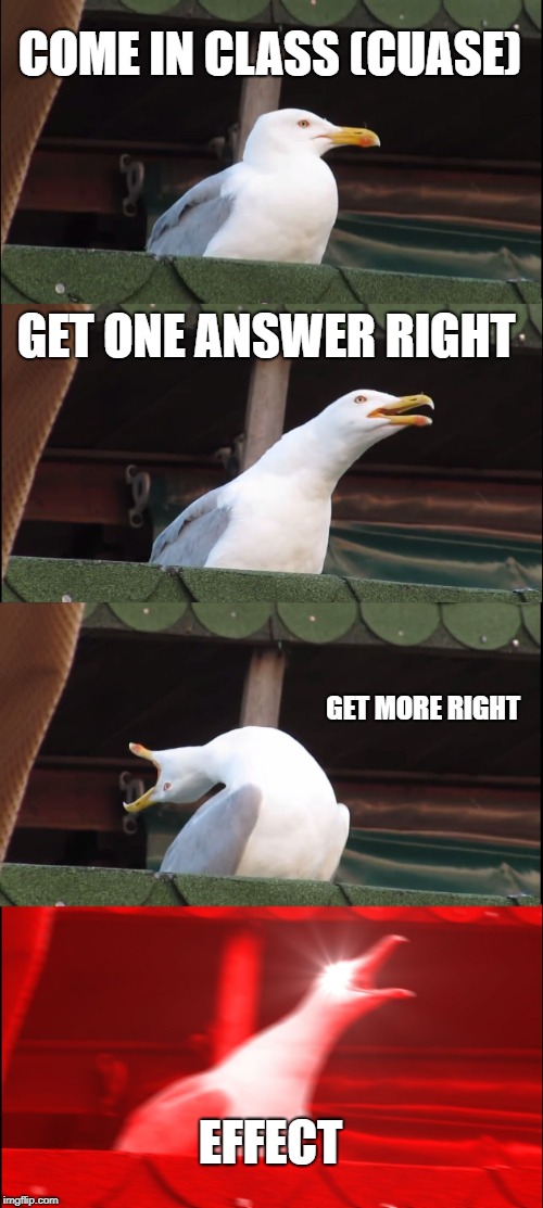Inhaling Seagull | COME IN CLASS (CUASE); GET ONE ANSWER RIGHT; GET MORE RIGHT; EFFECT | image tagged in memes,inhaling seagull | made w/ Imgflip meme maker