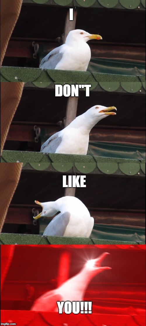 Inhaling Seagull | I; DON"T; LIKE; YOU!!! | image tagged in memes,inhaling seagull | made w/ Imgflip meme maker